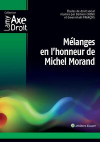 Image de Mélanges en l'honneur de Michel Morand