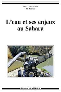 Image de L'eau et ses enjeux au Sahara