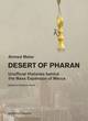 Image de Ahmed Mater Desert of Pharan /anglais