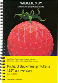 Picture of R. Buckminster Fuller: Synergetic Stew /anglais