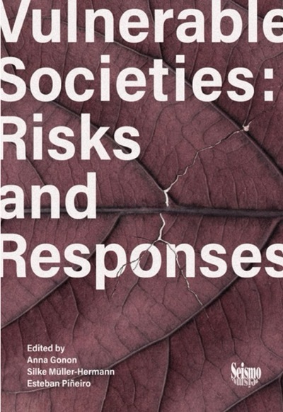 Picture of Vulnerable Societies: Risks and Responses