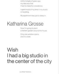 Picture of Katharina Grosse Wish I Had a Big Studio in the Center of the City /anglais