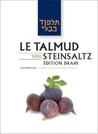 Image de Le Talmud Steinsaltz T42 - Nida