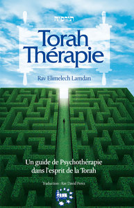 Image de TORAH THERAPIE UN GUIDE DE PSYCHOTHERAPIE DANS L'ESPRIT DE LA TORAH
