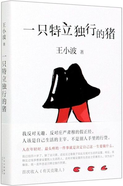 Picture of A Unique Pig   Yi zhi teli duxing de zhu