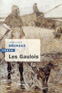 Image de Les gaulois