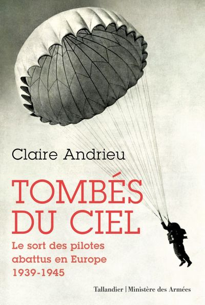 Image de Tombés du ciel