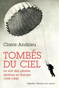 Image de Tombés du ciel