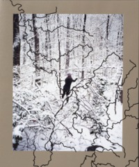 Image de LAUREL MOUNTAIN LAURE