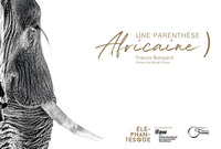 Picture of Une parenthèse africaine
