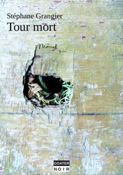 Image de Tour mort - roman