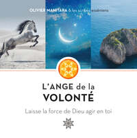 Picture of L'Ange de la volonté