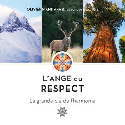Image de L’Ange du respect