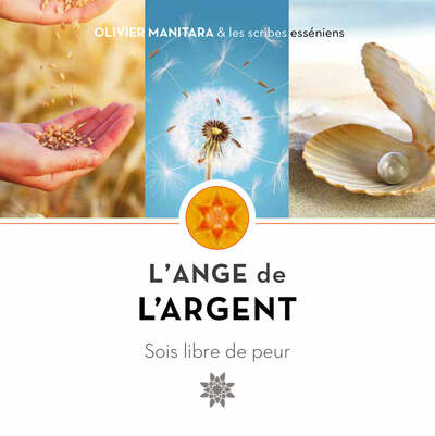 Image de L'Ange de l’argent