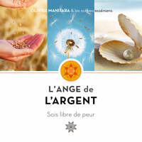 Image de L'Ange de l’argent