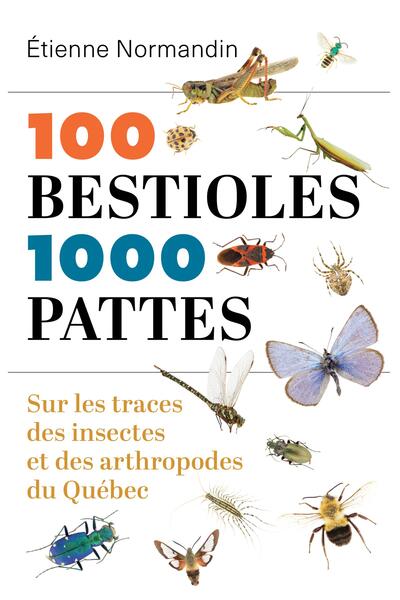 Image de 100 bestioles, 1000 pattes