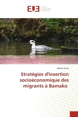 Picture of Stratégies d'insertion socioéconomique des migrants à Bamako