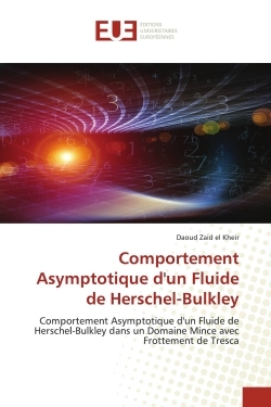 Picture of Comportement Asymptotique d'un Fluide de Herschel-Bulkley