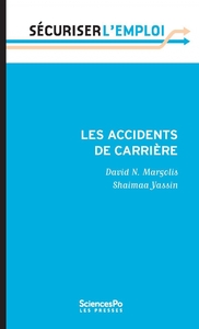 Picture of Les Accidents de carrière