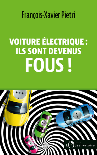 Image de Voiture électrique : ils sont devenus fous !