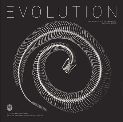 Picture of Evolution