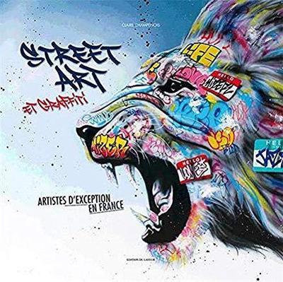 Image de Street art et graffiti - Artistes d'exception en France