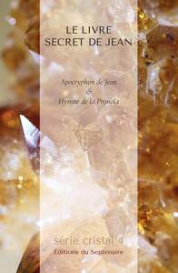 Image de LE LIVRE SECRET DE JEAN