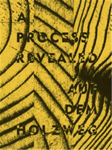 Picture of A Process Revealed /anglais/allemand