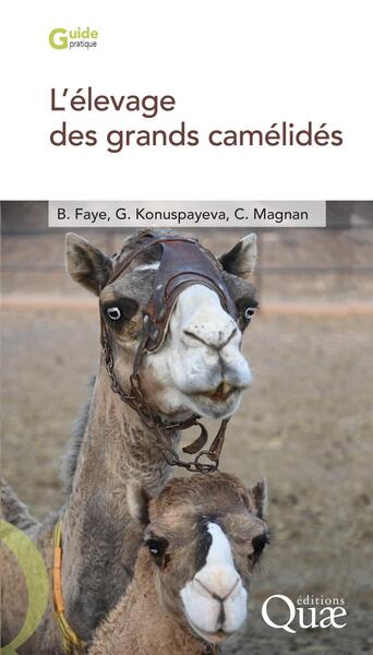 Picture of L'élevage des grands camélidés