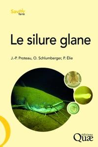 Image de Le silure glane