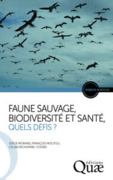 Image de Faune sauvage, biodiversité et santé, quels défis ?