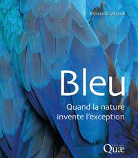 Image de Bleu