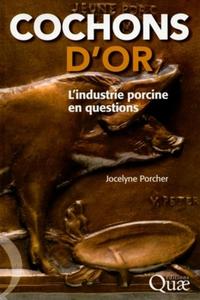 Image de Cochons d'or