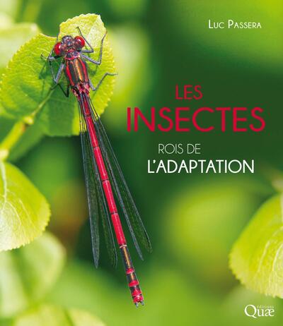 Image de Les insectes