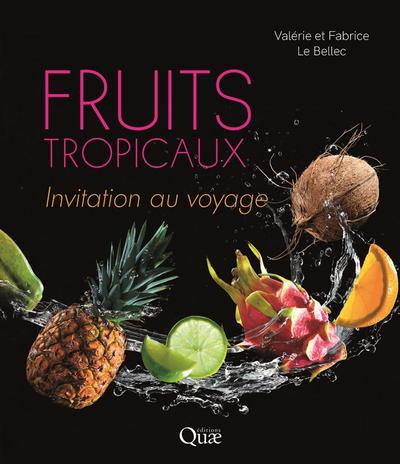Picture of Fruits tropicaux