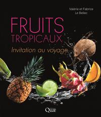 Picture of Fruits tropicaux
