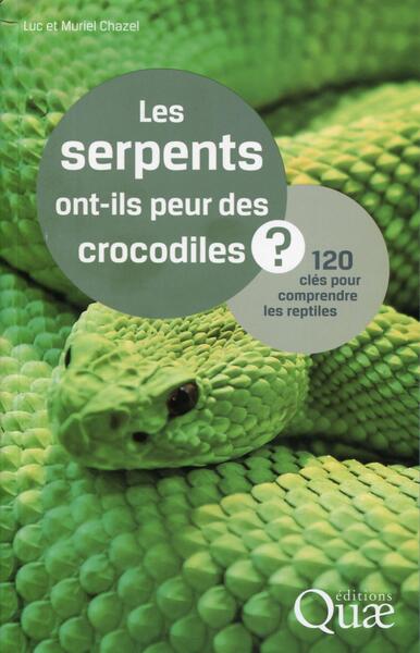 Image de Les serpents ont-ils peur des crocodiles ?