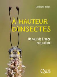Picture of À hauteur d'insectes