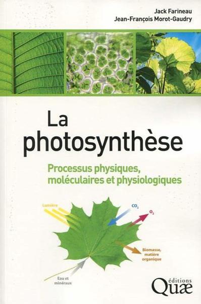 Picture of La photosynthèse