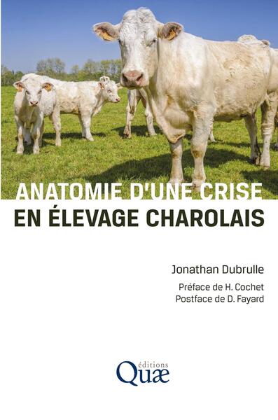 Picture of Anatomie d'une crise en élevage charolais