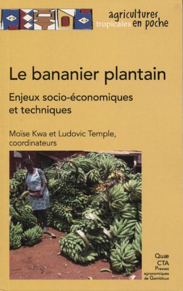 Picture of Le bananier plantain