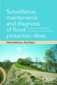 Image de Surveillance, maintenance and diagnosis of flood protection dikes