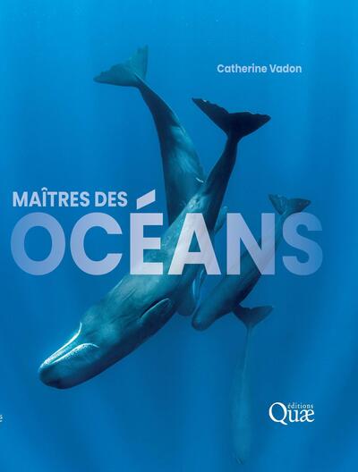 Image de Maîtres des océans