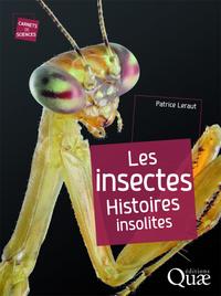 Image de Les insectes