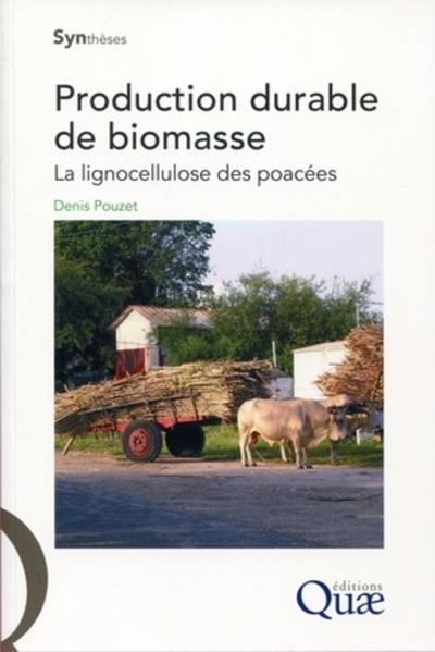 Image de Production durable de biomasse