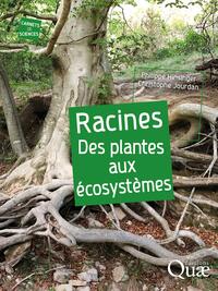 Picture of Racines