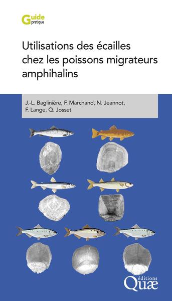 Picture of Utilisations des écailles chez les poissons migrateurs amphihalins