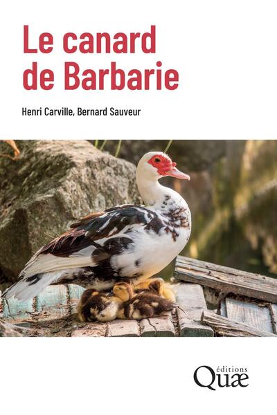 Image de Le canard de Barbarie