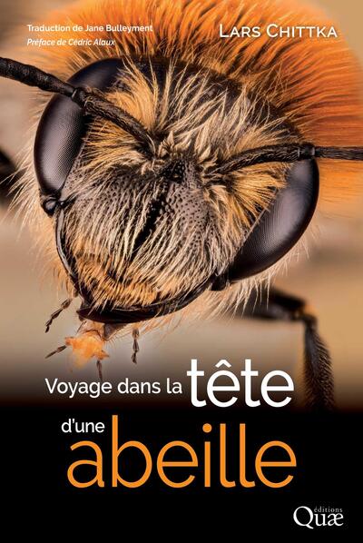 Image de Voyage dans la tête d'une abeille