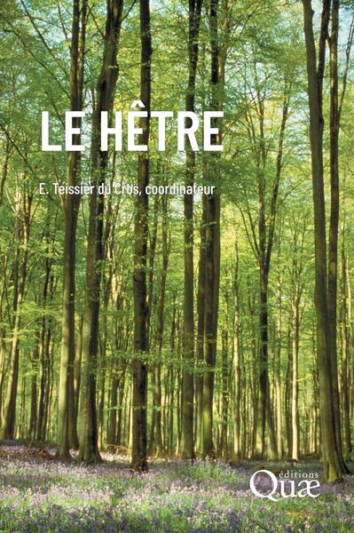 Picture of Le hêtre